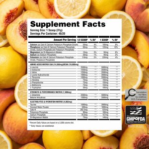 Enigma V2 Complete Essential Amino + BCAA - 617g