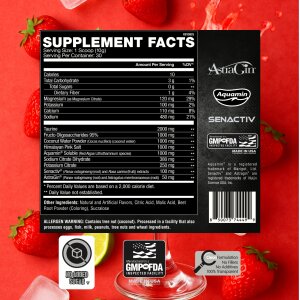 Apollon Nutrition - Hydration & Recovery V2 - Premium...